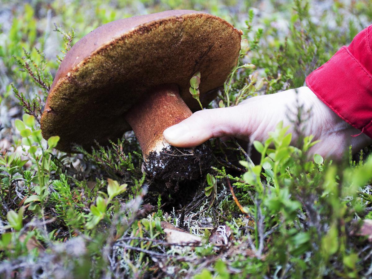 Javri Lodge Saariselkä Zewnętrze zdjęcie