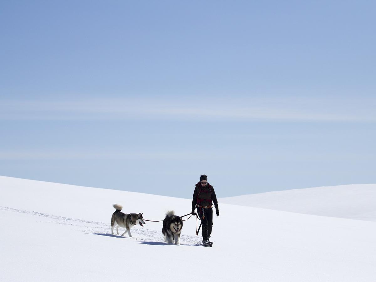 Javri Lodge Saariselkä Zewnętrze zdjęcie