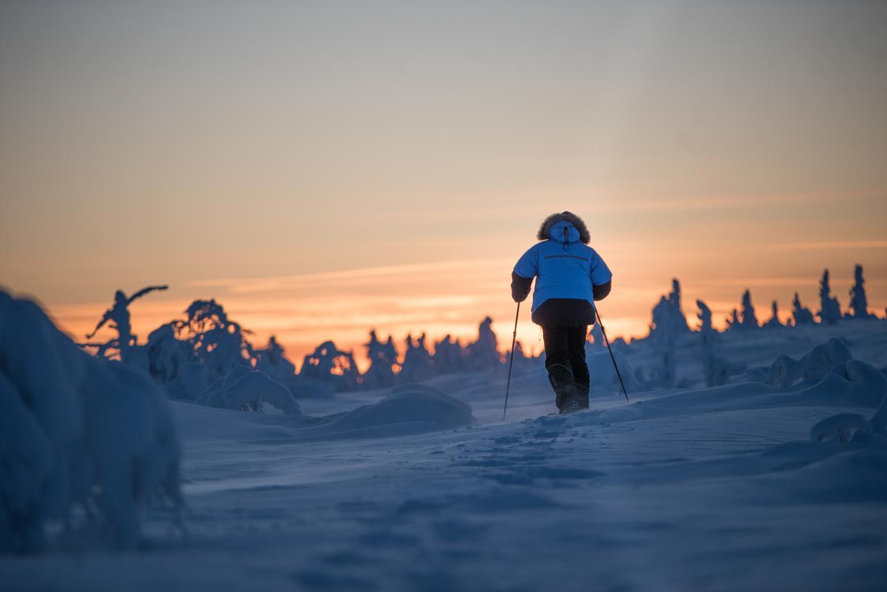 Javri Lodge Saariselkä Zewnętrze zdjęcie
